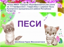 Йорт хайваннары.Песи рәсеме.