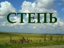 Презентация по окружающему миру на тему  Степь (4 класс)