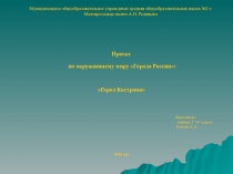 Презентация по окружающему миру  Города России