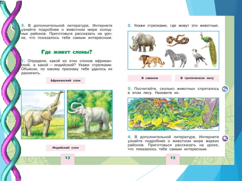 Расскажи дополнительную. Дополнительная литература интернет. Указать стрелками где живут эти животные. В дополнительной литературе интернете узнайте. Узнайте подробнее о животном мире.