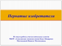 Презентация из опыта работы по окружающему миру на тему Пернатые изобретатели
