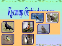 Презентация по воспитательному часу Құстар-біздің досымыз (1 класс)