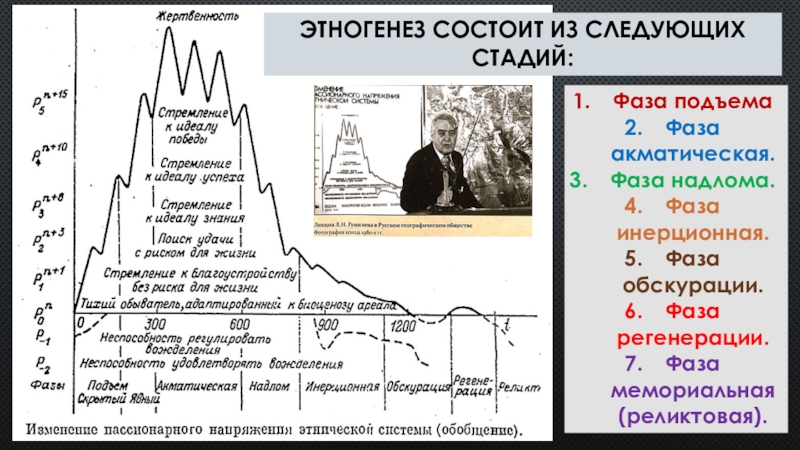 Схема этногенеза гумилева