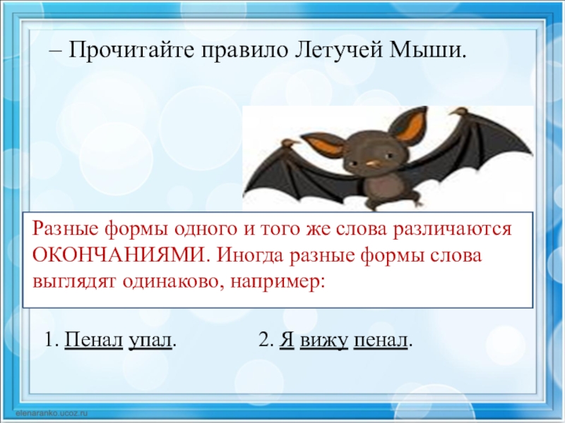 Назовем слова мышь листок правило разнобуквицами. Правило летучей мыши. Разные формы слова. Разные формы одних и тех же слов. Текст летучая мышь.