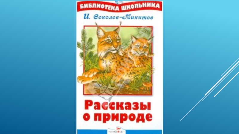 Соколов микитов бурундук план рассказа 2 класс