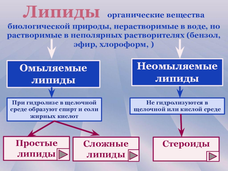 Биология органические вещества клетки