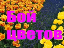 Презентация Бой цветов  игра