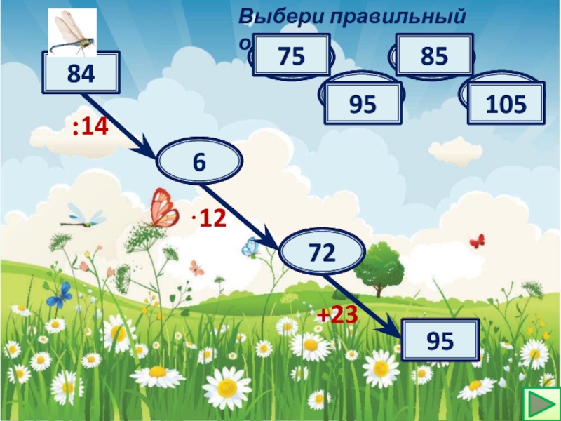 Районов 14 ответ. Математическая Стрекоза.