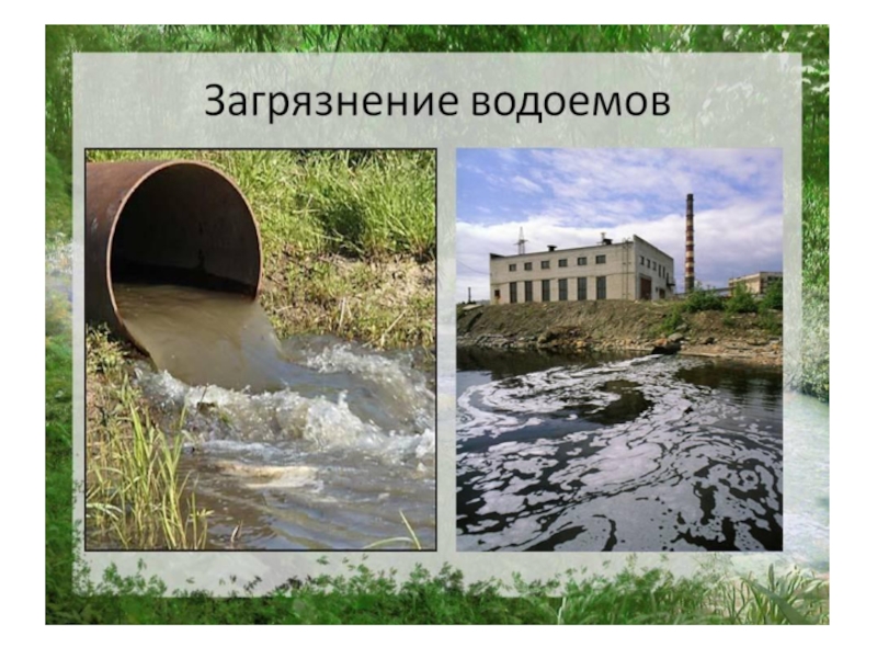 Загрязненные водоемы картинки