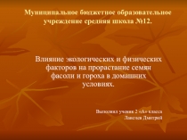 Проектная работа Условия для развития роста фасоли