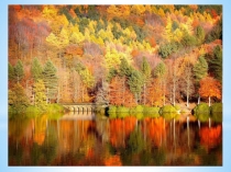 Презентация к воспитательному часу Здравствуй-Осень!