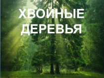 Презентация для занятия по разделуОкружающий мир- Хвойные деревья.