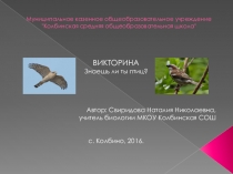 Викторина Знаешь ли ты птиц?