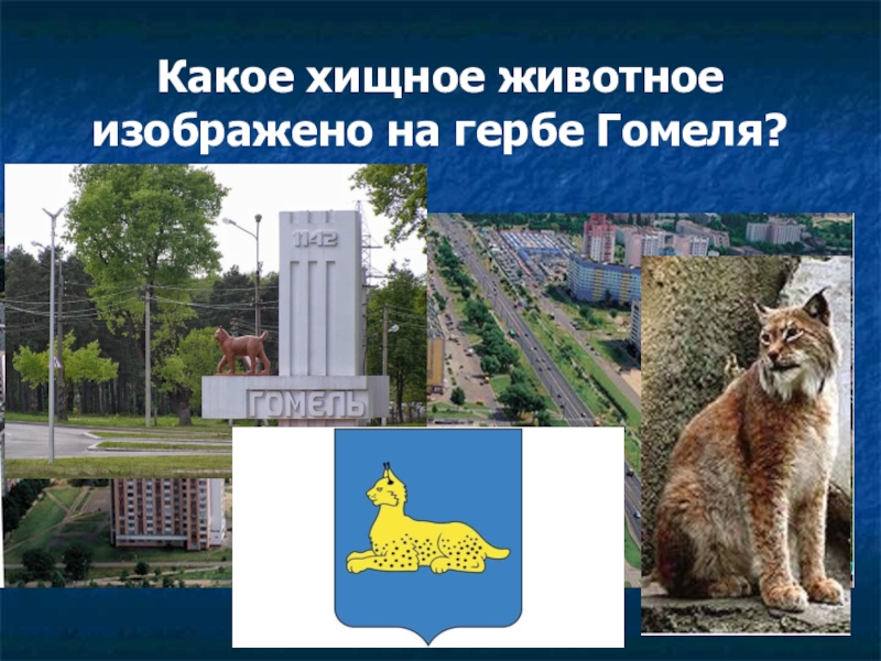 Герб гомеля картинка