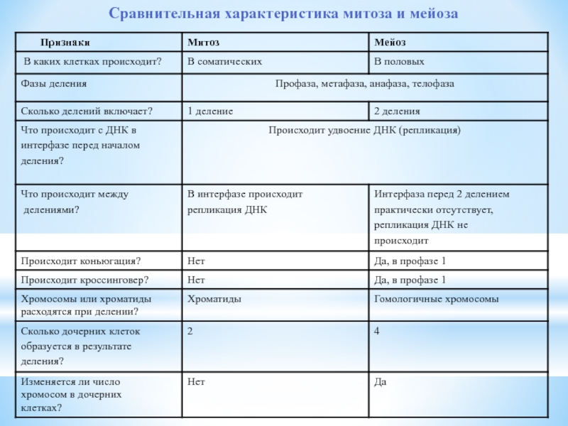 Сравнительная характеристика митоза и мейоза таблица