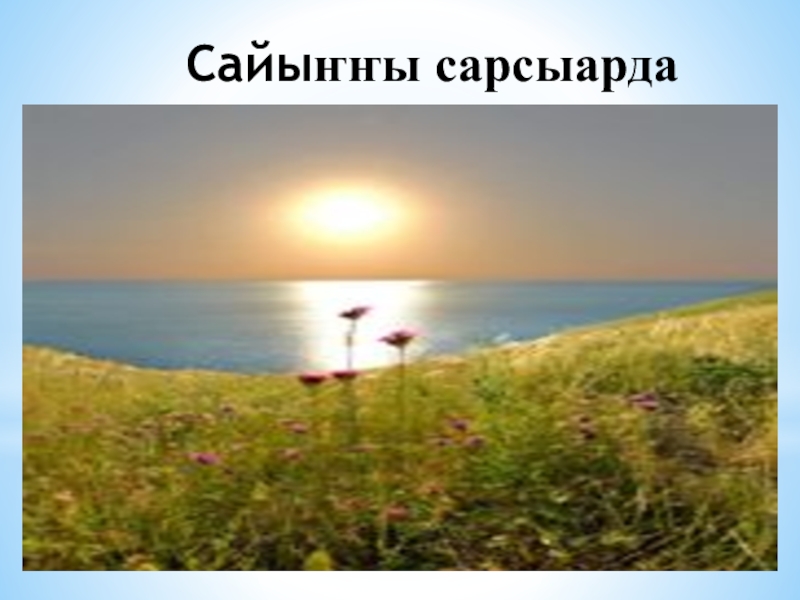 Сайынны сарсыарда картинки