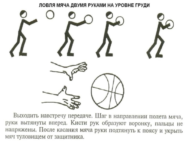 Ловля мяча 2 руками. Ловля мяча двумя руками. Подбрасывание мяча. Схема ловля мяча. Подбрасывание и ловля мяча.