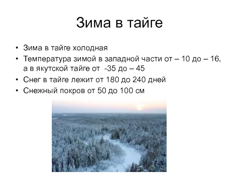 Презентация природная зона тайга 4 класс окружающий мир