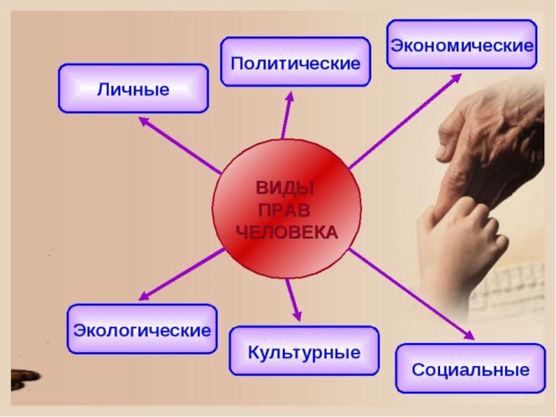 Социально экономические права граждан план