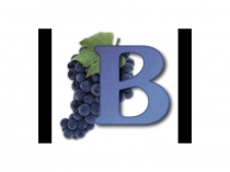 Презентация по русскому языку на тему Письмо буквы в (1 класс)