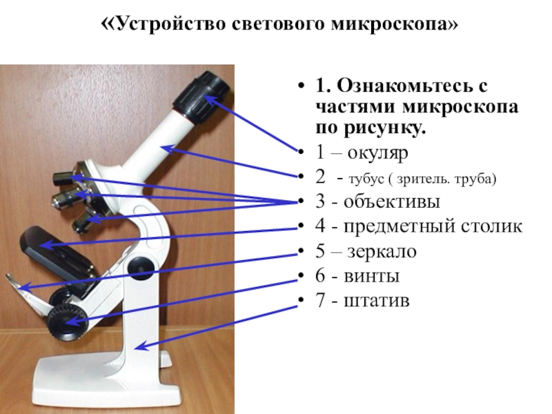 Какую часть выполняет тубус. Строение микроскопа тубус. Окуляр биология микроскопа. Цифровой микроскоп окуляр объектив зеркало. Цифровой микроскоп 5 микроскоп ВПР 5 класс.
