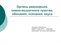 Органы равновесия, кожно-мышечного чувства, обоняния, осязания, вкуса.