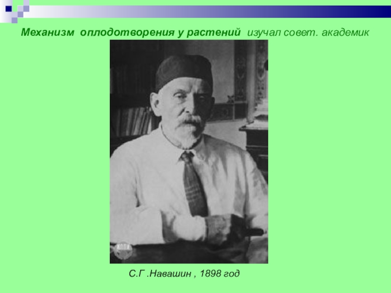Механизм оплодотворения у растений изучал совет. академик