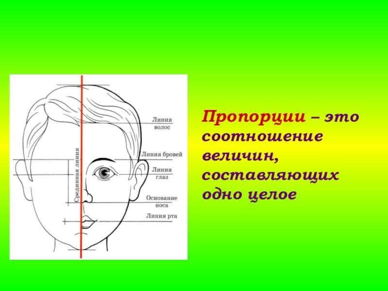Изо пропорции выражают характер. Конструкция головы человека. Конструкция головы и ее пропорции. Конструкция головы человека изо. Конструкция и пропорции головы человека.