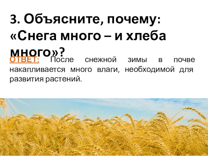 Побольше объяснение. Пословица много снега много хлеба. Снега много хлеба много объяснить пословицу. Много снкга много хлеб. Много снега много хлеба объяснение.