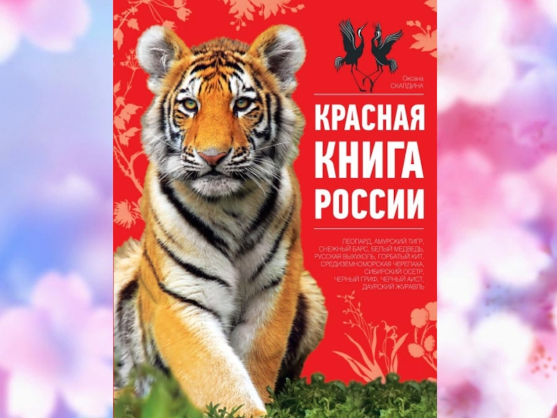 Шаблон презентации красная книга