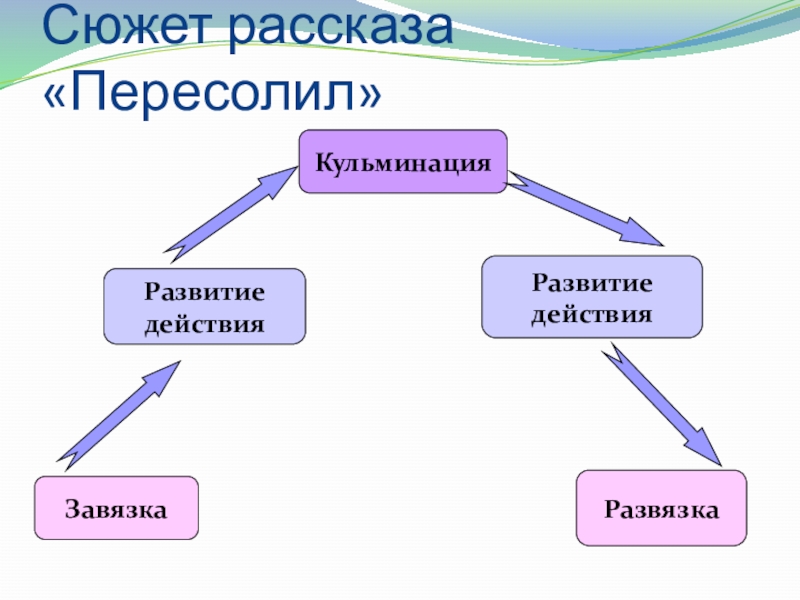 План пересолил рассказа