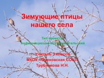 Проект-презентация Зимующие птицы села Орехово (4класс)