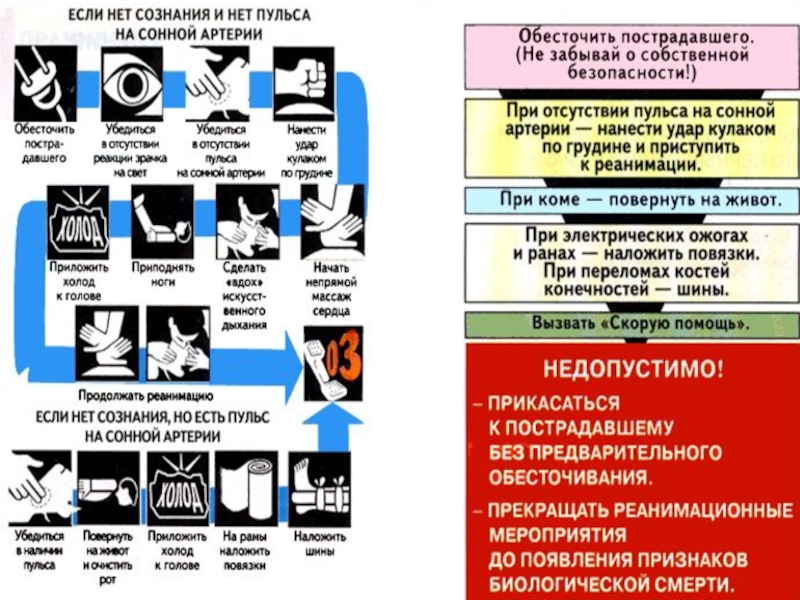 Заполните схему алгоритм оказания первой помощи при состоянии когда нет сознания но есть пульс