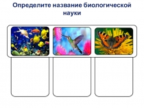 Презентация урока биологии для 5 класса на тему Методы изучения природы