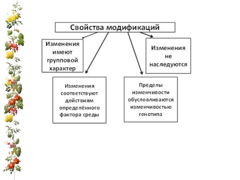 Укажите свойства. Свойства модификаций. Свойства модификаций в биологии. Укажите свойства модификаций. Перечислите свойства модификаций.