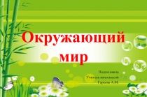 Презентация по окружающему миру на тему Почему нужно чистить зубы и мыть руки мылом?