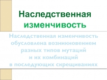Презентация по биологии Наследственная изменчивость 10 класс