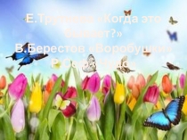 Презентация к уроку литературное чтение Е.Трутнева Когда это бывает?, Р.Сеф Чудо (1 класс)