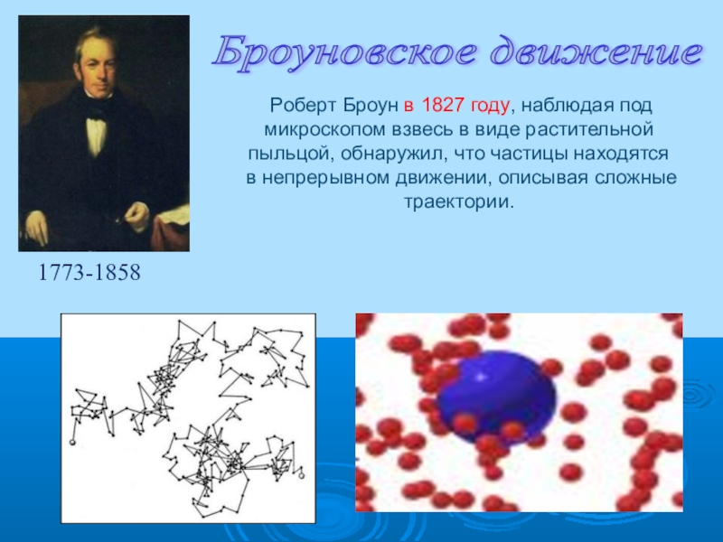 Броуновское движение презентация