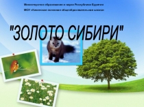 Презентация по экологии Золото Сибири