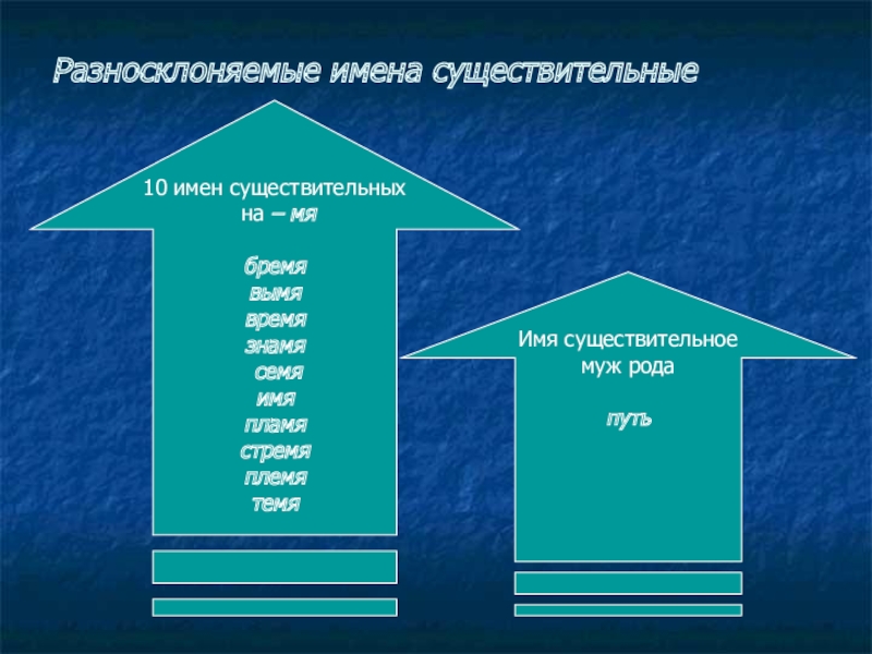 Путь существительное. Разносклоняемые существительные. Разносклоняемые имена существительные. Разноклоняем имена сущ. Разносклоняемые существительные примеры.