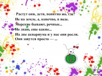 Презентация по биологии Водоросли и их значение