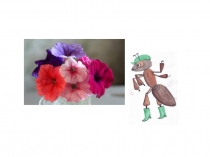 Презентация по окружающему миру на тему Что растёт на клумбе