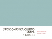 Презентация по окружающему миру 3 класс Счет лет в истории