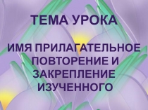 ПРЕЗЕНТАЦИЯ ПО РУССКОМУ ЯЗЫКУ  ИМЯ ПРИЛАГАТЕЛЬНОЕ
