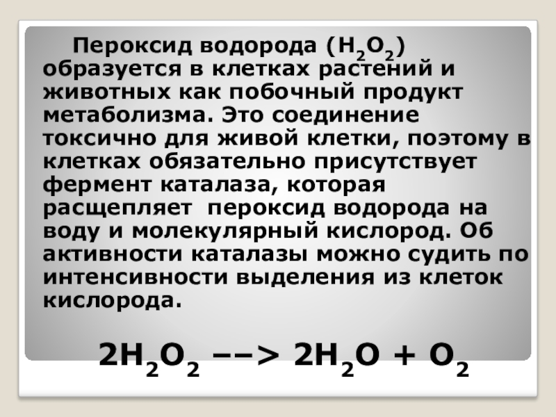 Н2 премиум магний водород отзывы