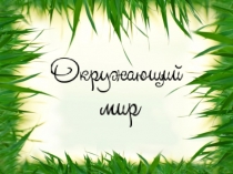 Презентация к уроку окружающего мира на тему Звери-млекопитающие. Классификация зверей по способу питания: растительноядные, хищники, всеядные