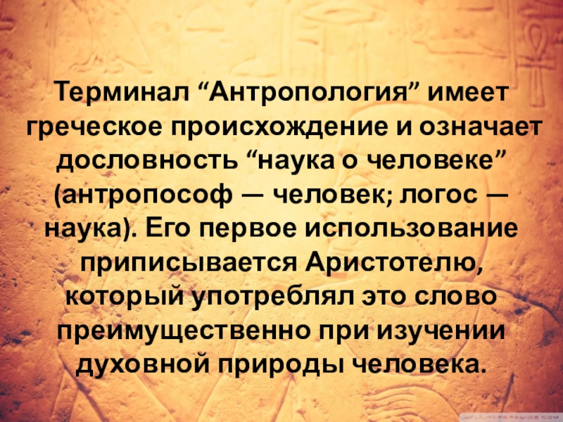 Реферат: История развития антропологии в Украине