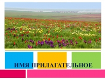 Презентация по русскому языку на тему Имя прилагательное (3 класс)