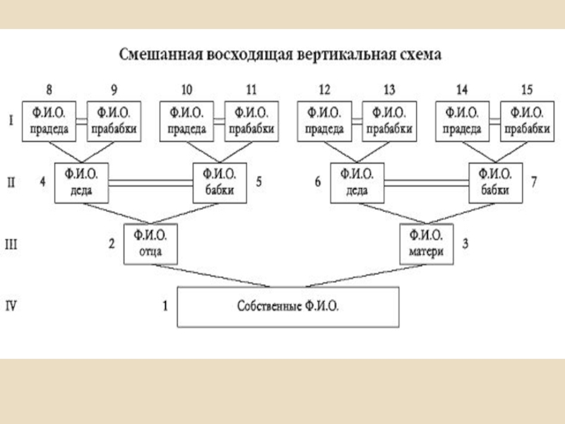 Родословное дерево схема